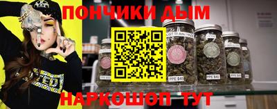 индика Обнинск