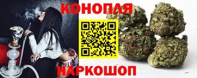 индика Обнинск