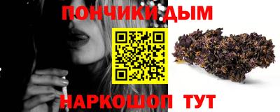 индика Обнинск