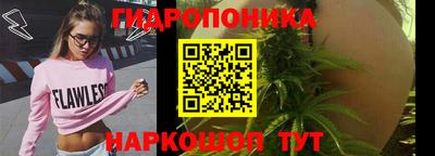 индика Обнинск