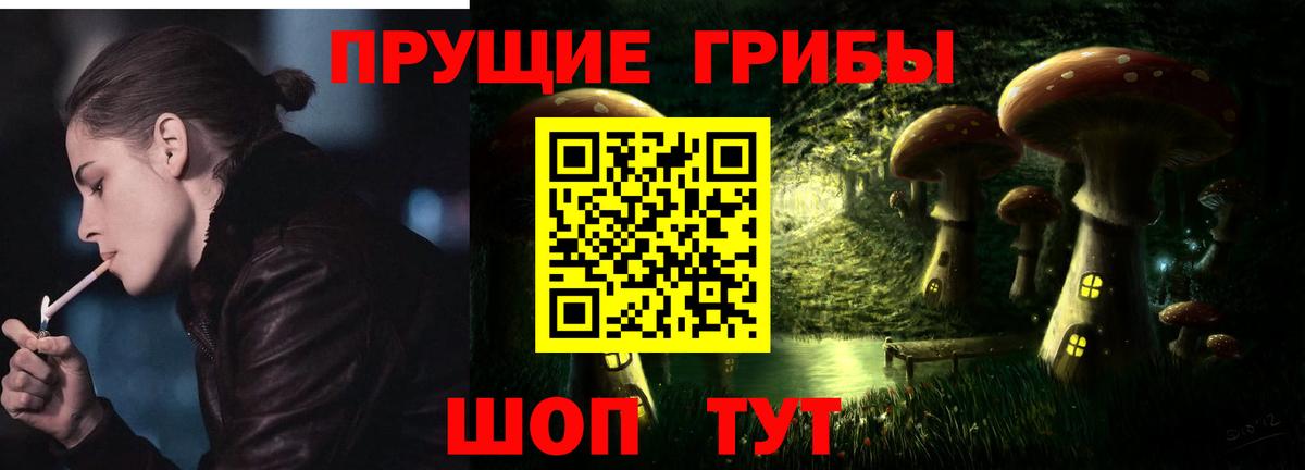 Тамбов  Псилоцибиновые грибы Psilocybine cubensis  Вход с VPN 